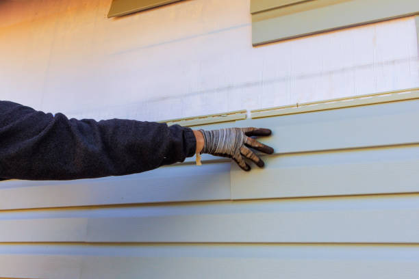 Best Vinyl Siding Installation  in Wellington, UT